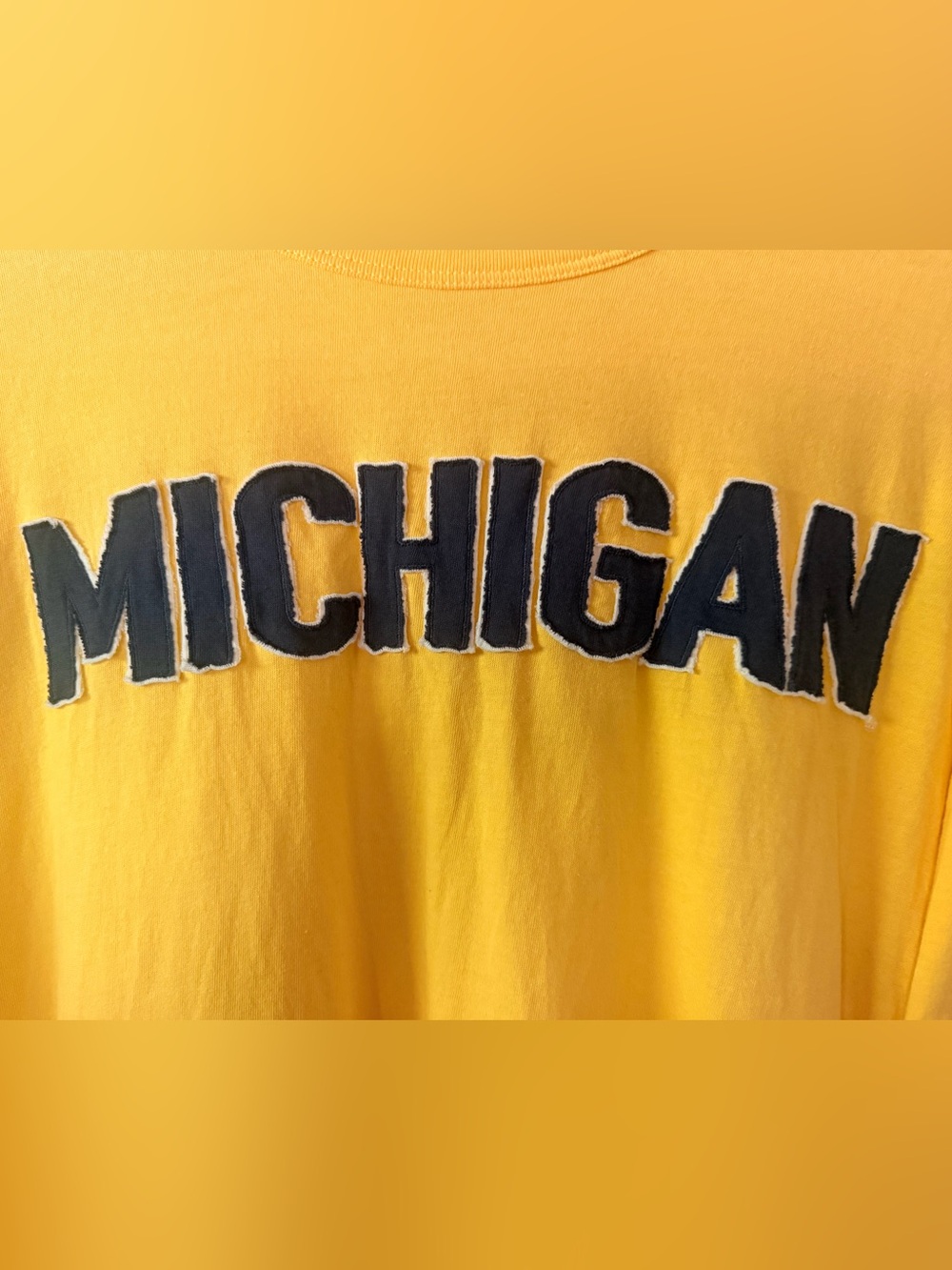 Michigan Wolverines Men’s Large T-Shirt College Football Basketball NCAA - Picture 2 of 5